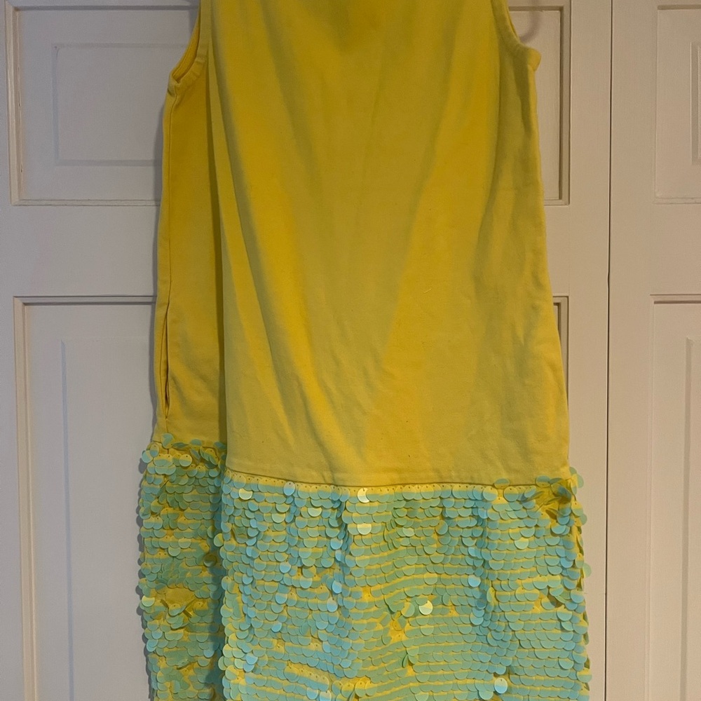 Crew cuts dress (size 14)